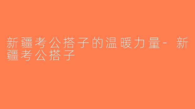 新疆考公搭子的温暖力量-新疆考公搭子