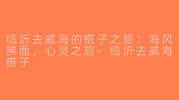 临沂去威海的搭子之旅：海风拂面，心灵之旅-临沂去威海搭子