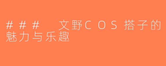 ### 文野COS搭子的魅力与乐趣
