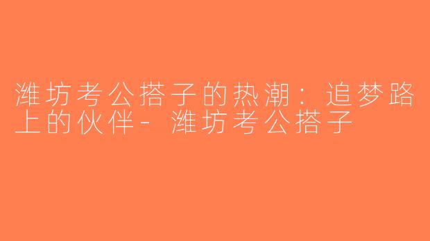 潍坊考公搭子的热潮：追梦路上的伙伴-潍坊考公搭子
