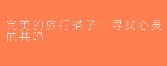 完美的旅行搭子：寻找心灵的共鸣