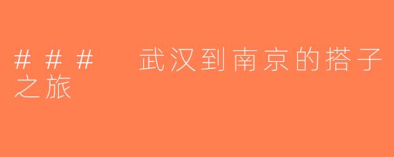 ### 武汉到南京的搭子之旅