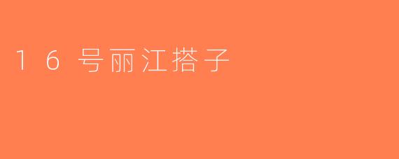 16号丽江搭子