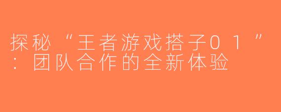 探秘“王者游戏搭子01”：团队合作的全新体验