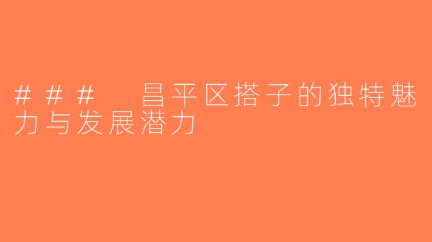 ### 昌平区搭子的独特魅力与发展潜力