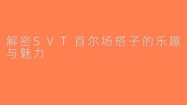 解密SVT首尔场搭子的乐趣与魅力