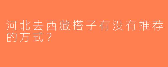 河北去西藏搭子有没有推荐的方式？