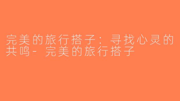 完美的旅行搭子：寻找心灵的共鸣-完美的旅行搭子
