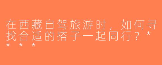 在西藏自驾旅游时，如何寻找合适的搭子一起同行？****