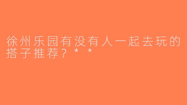 徐州乐园有没有人一起去玩的搭子推荐？**