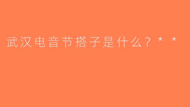 武汉电音节搭子是什么？**