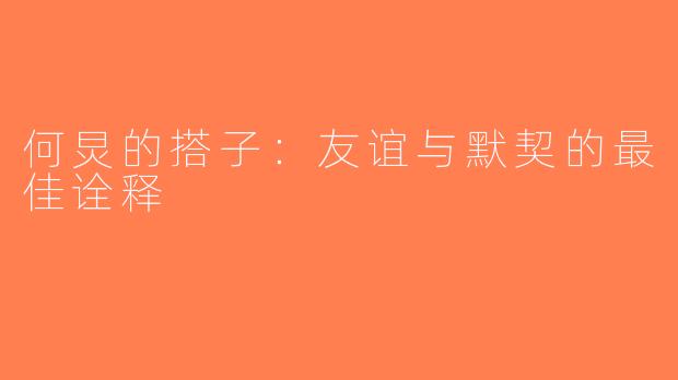 何炅的搭子：友谊与默契的最佳诠释