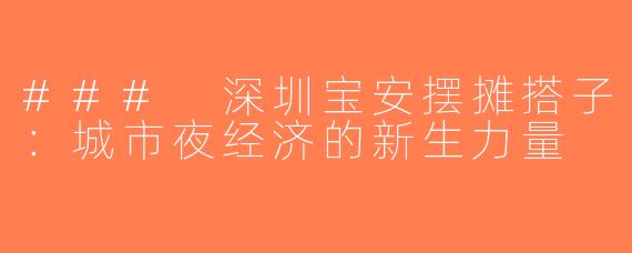 ### 深圳宝安摆摊搭子：城市夜经济的新生力量