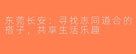 东莞长安：寻找志同道合的搭子，共享生活乐趣