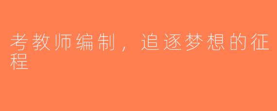 考教师编制，追逐梦想的征程
