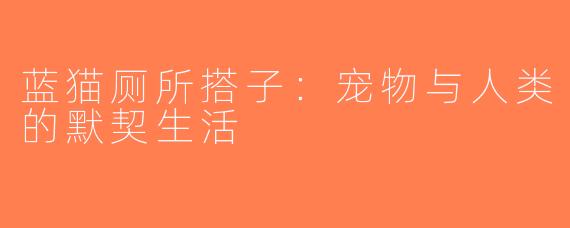 蓝猫厕所搭子：宠物与人类的默契生活