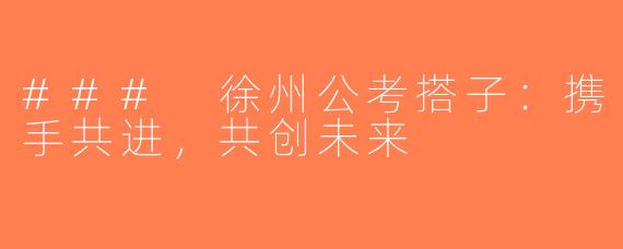 ### 徐州公考搭子：携手共进，共创未来
