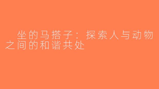  坐的马搭子：探索人与动物之间的和谐共处