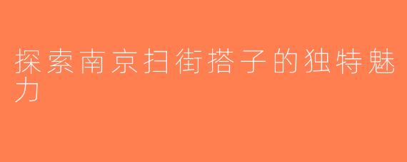 探索南京扫街搭子的独特魅力