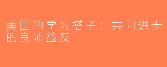美国的学习搭子：共同进步的良师益友
