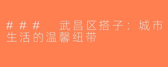### 武昌区搭子：城市生活的温馨纽带