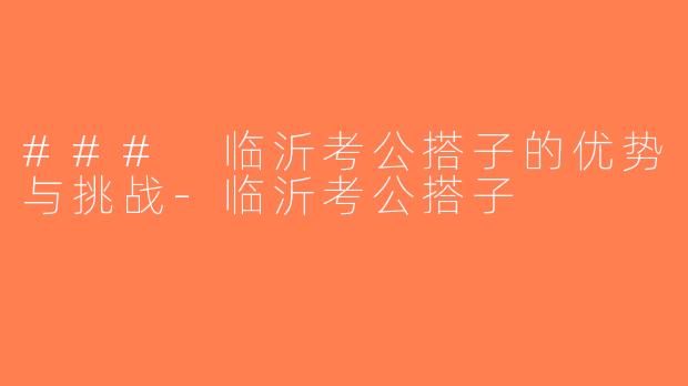 ### 临沂考公搭子的优势与挑战-临沂考公搭子
