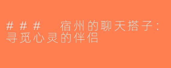 ### 宿州的聊天搭子：寻觅心灵的伴侣