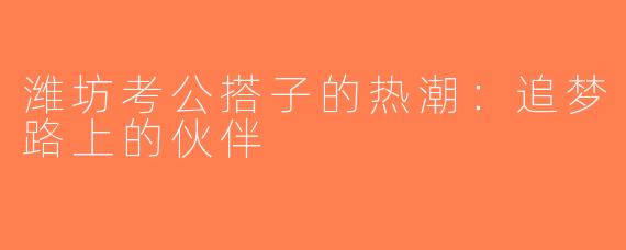 潍坊考公搭子的热潮：追梦路上的伙伴
