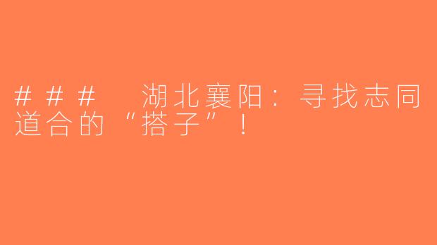 ### 湖北襄阳：寻找志同道合的“搭子”！