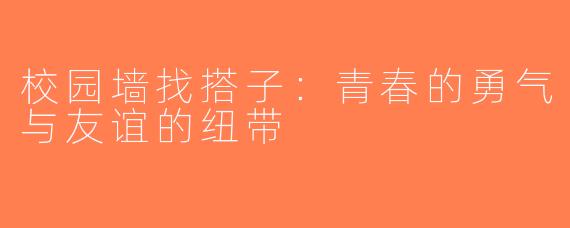 校园墙找搭子：青春的勇气与友谊的纽带