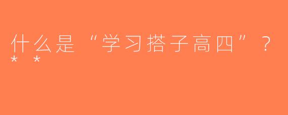 什么是“学习搭子高四”？**