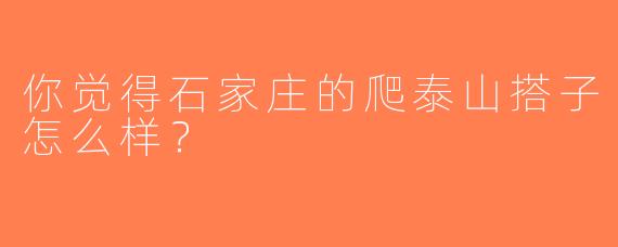 你觉得石家庄的爬泰山搭子怎么样？  