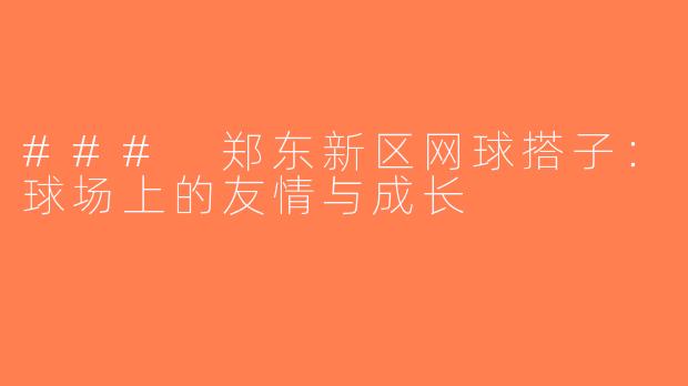 ### 郑东新区网球搭子：球场上的友情与成长
