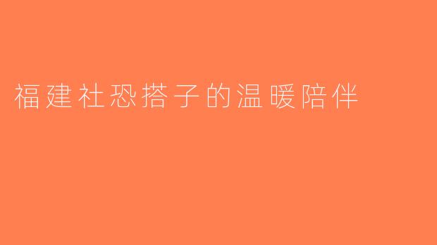福建社恐搭子的温暖陪伴