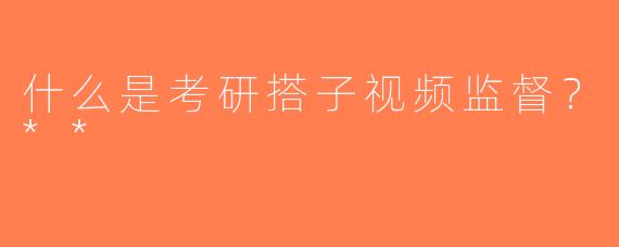 什么是考研搭子视频监督？**