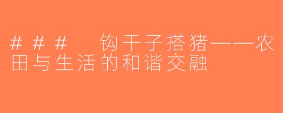 ### 钩干子搭猪——农田与生活的和谐交融