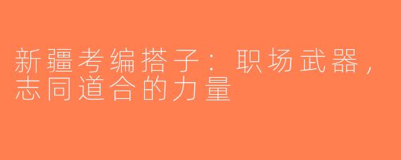 新疆考编搭子：职场武器，志同道合的力量
