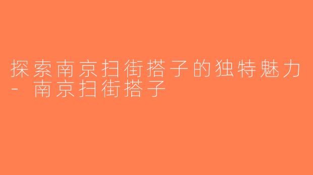 探索南京扫街搭子的独特魅力-南京扫街搭子