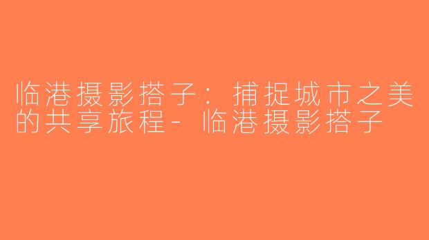 临港摄影搭子：捕捉城市之美的共享旅程-临港摄影搭子