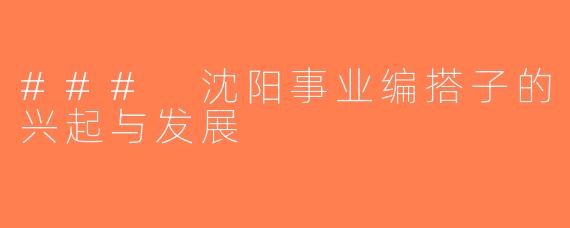 ### 沈阳事业编搭子的兴起与发展