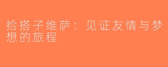 拾搭子维萨：见证友情与梦想的旅程