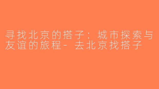 寻找北京的搭子：城市探索与友谊的旅程-去北京找搭子