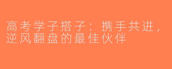 高考学子搭子：携手共进，逆风翻盘的最佳伙伴