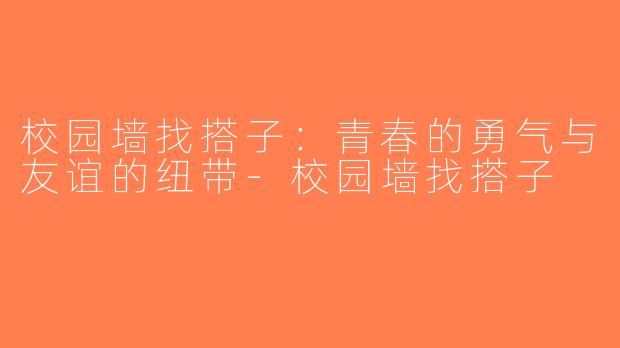校园墙找搭子：青春的勇气与友谊的纽带-校园墙找搭子