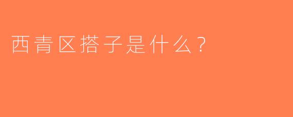 西青区搭子是什么？ 