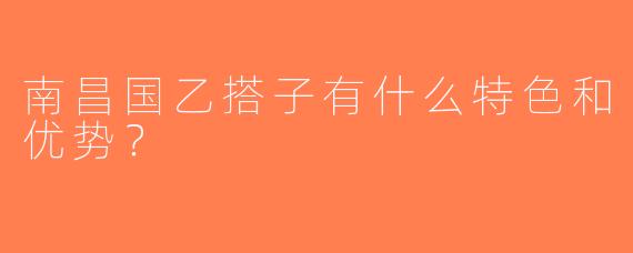 南昌国乙搭子有什么特色和优势？