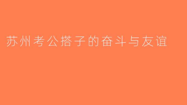 苏州考公搭子的奋斗与友谊