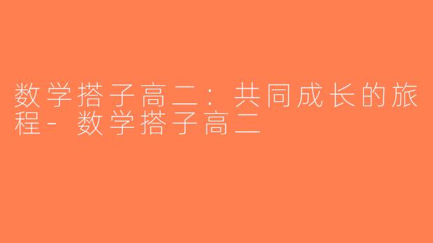 数学搭子高二：共同成长的旅程-数学搭子高二