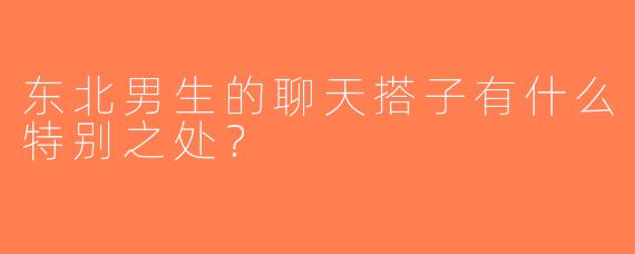 东北男生的聊天搭子有什么特别之处？
