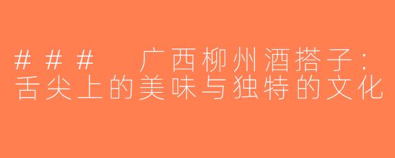 ### 广西柳州酒搭子：舌尖上的美味与独特的文化
